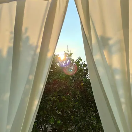 Agribarocco 리조트 *